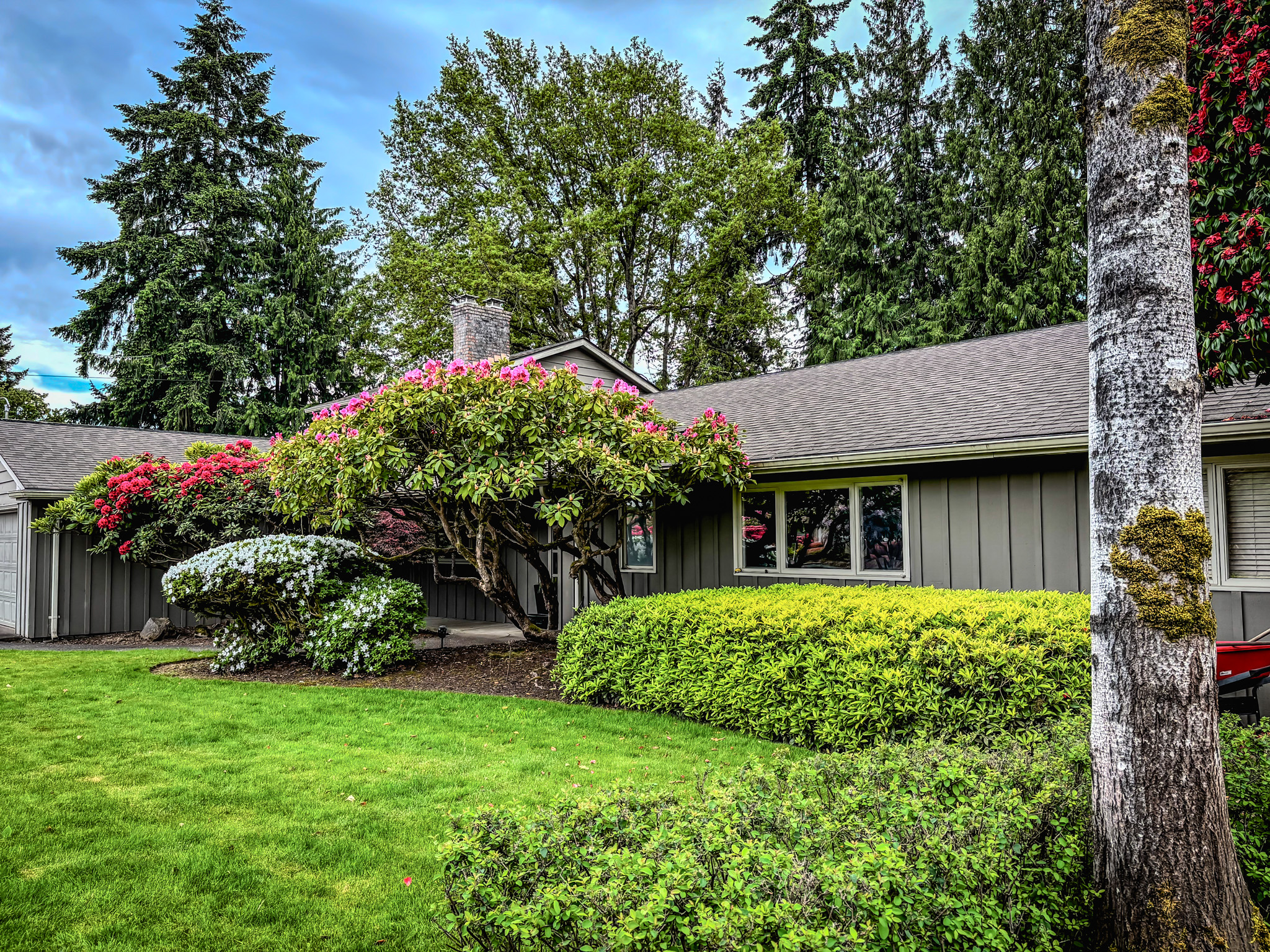 Front exterior with lush landscaping